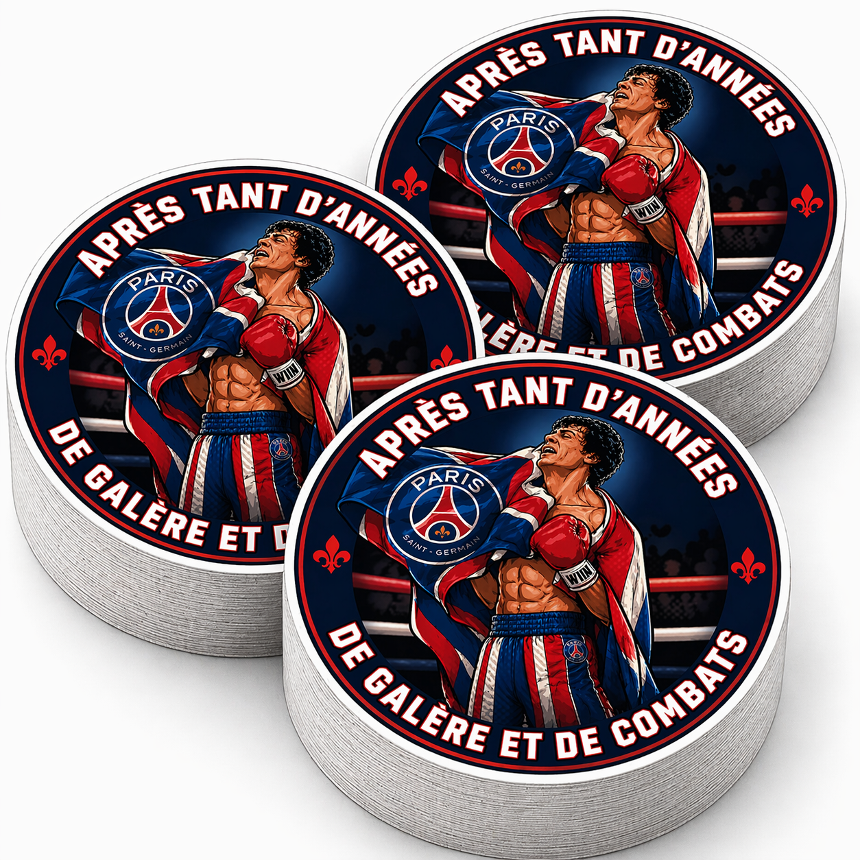 1-LOT 6 STICKERS ST-PSG