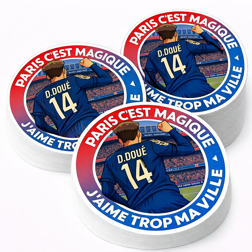 LOT 6 STICKERS ST-PSG-17