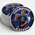 LOT 6 STICKERS PSG