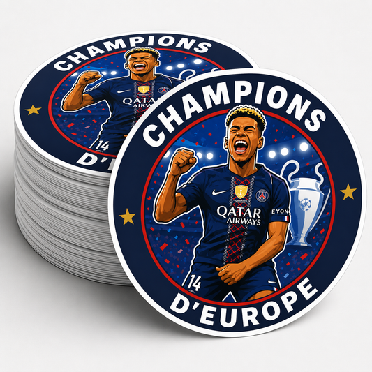 LOT 6 STICKERS PSG