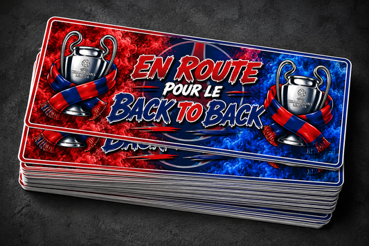 LOT 18 STICKERS ST-PSG