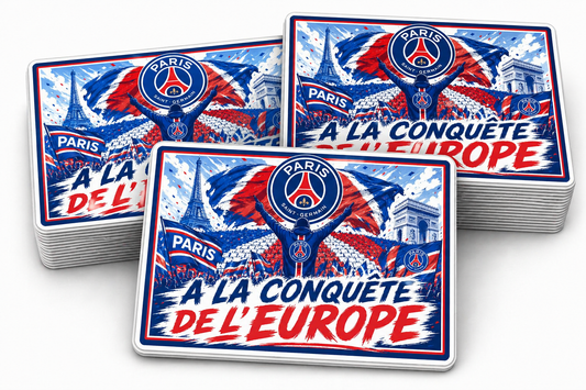 LOT 18 STICKERS ST-PSG
