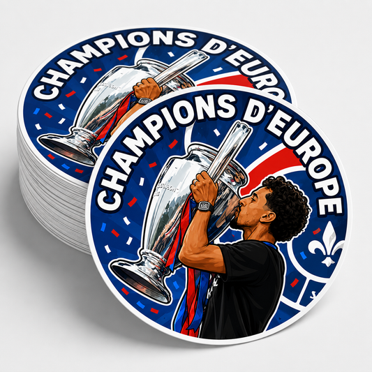 LOT 6 STICKERS PSG