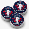 STICKERS ST-PSG
