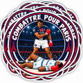 LOT 6 STICKERS PSG