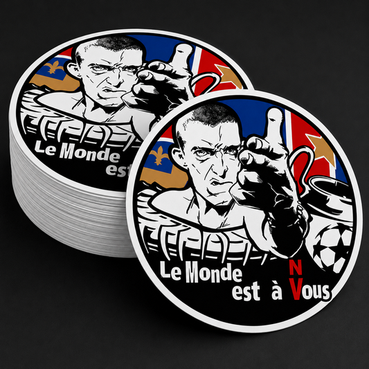 LOT 18 STICKERS PSG