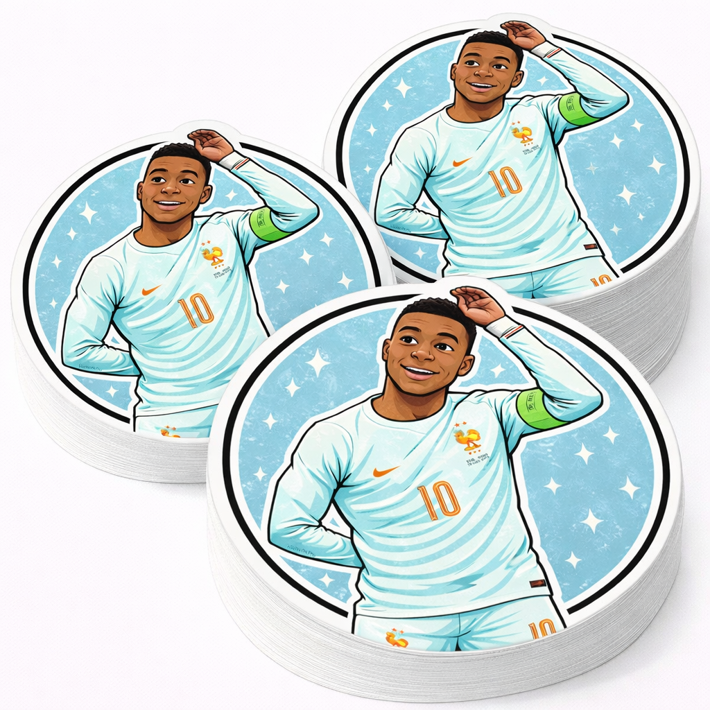 LOT 6 STICKERS ST-EDF