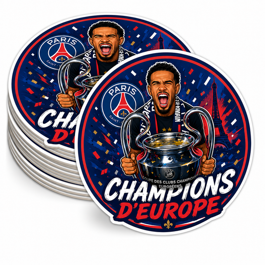LOT 6 STICKERS PSG