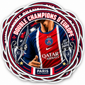 LOT 6 STICKERS PSG