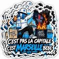 LOT 6 STICKERS OM