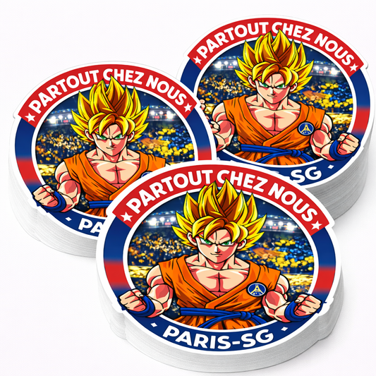 STICKERS ST-PSG