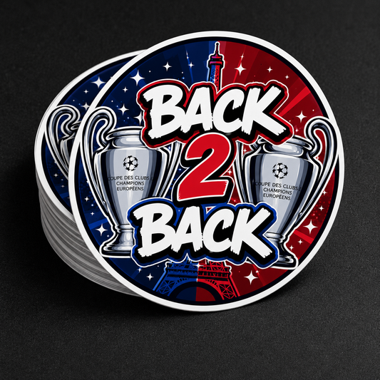 LOT 6 STICKERS PSG